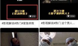 热线爆料解说大全视频最新,最新解说大全视频精彩瞬间大盘点