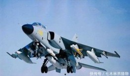 中国新战机爆料最新消息,神秘性能引发全球关注