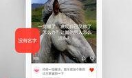 匿名爆料揭秘视频,背后真相大曝光