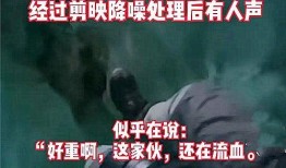 延安网红事件爆料视频,揭秘背后真相与网络舆论风暴