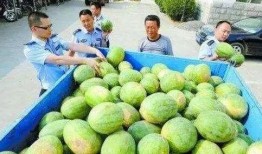 康县网红 吃瓜群微信号,网络社交新风向标