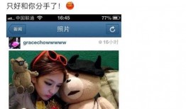 素人爆料小猪视频大全,小猪视频大全，揭秘娱乐圈幕后故事