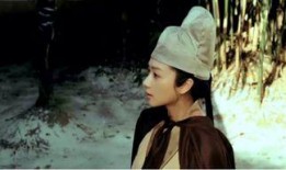 电影秦淮才女在线观看,穿越时空的才情传奇