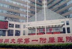 郑大一院的新闻爆料,揭秘重大医疗突破背后的故事