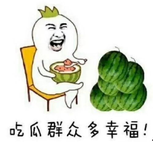娱乐吃瓜404,吃瓜群众眼中的404事件真相